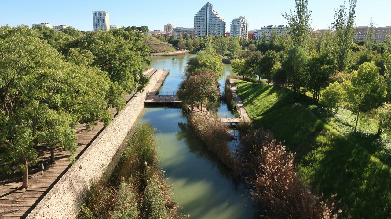 Trees and waterside paths around the lake in Parque de Cabecera at the western end of the Turia Gardens